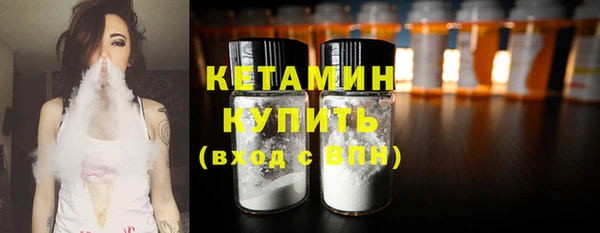 хмурый Пересвет