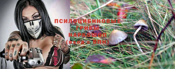 прущие крисы Армянск