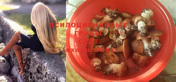 прущие грибы Арсеньев