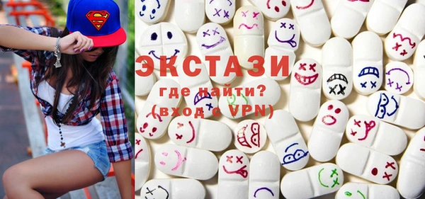 хмурый Пересвет