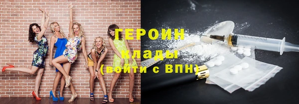 хмурый Пересвет